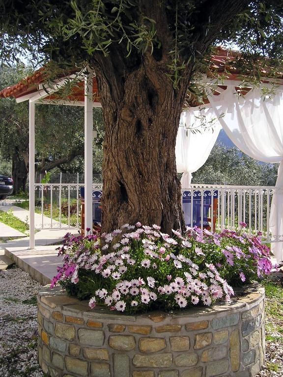 Golden Beach Inn Chrisi Ammoudia Camera foto